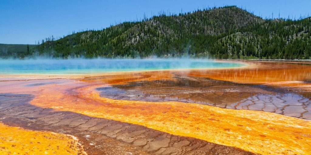 After Jasper incident now Yellowstone stays on the line